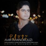 Amir Taha Norouzi – Paeiz