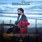 Soheil Mehrzadegan – Doorit