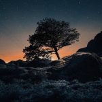 دانلود اهنگ چند ساله خوشحال بیدار نمیشم قرصا نمیدن