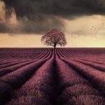 دانلود اهنگ بو بو بو یه دلبری بو بو بو هور پری