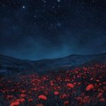 آهنگ چشاش لاولیه رفتاراش تاکسیک