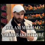 دانلود آهنگ وحید بختیاری بنام دلم میخواد