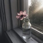 دانلود ریمیکس سه روزه رفتی انگاری سه ساله