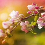 دانلود آهنگ بی کلام آرامش دهنده طبیعت