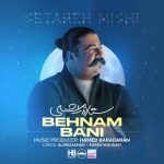 آهنگ بهنام بانی ستاره میشی / لینک قوی MP3