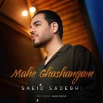 دانلود آهنگ سعید صادقی به نام ماه قشنگم