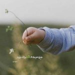 مداحی آرزو شده مشهد هم لک زده دلامون اما مجتبی رمضانی MP3