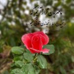 آهنگ هر لحظه حالم بدتره تو این روزا با صدای زن اینستا