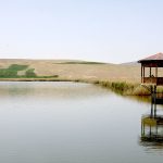 آغاز آب‌گیری تالاب بین‌المللی حسنلو نقده
