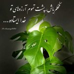 آهنگ بیو ای دا کرت جونی نداره قاسم فاضلی