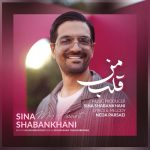دانلود آهنگ سینا شعبانخانی بنام قلب من