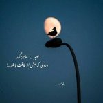 دانلود آهنگ فکر کردی بردی گوه خوردی MP3