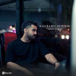 دانلود آهنگ پدرام نجفیان به نام خوابمو نمیبینی