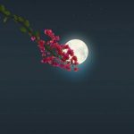 دانلود آهنگ نذار بشه گریه هات نمک زخمم