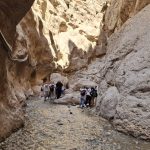 تنگه واشی؛ گریز به خنکای طبیعت در دل تابستان