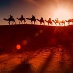 پرابهام‌ترین بخش عاشورا؛ چرا امام حسین (ع) به سوی کوفه رفت؟