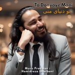 دانلود آهنگ حمیدرضا قربانی بنام تو دنیای منی