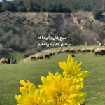 آهنگ نکن اینجوری با دل من ریمیکس رپ علی سورنا و زیبا رحیمی