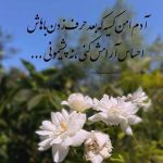 دانلود آهنگ شب و هر شب توی رویای منی مازندرانی MP3