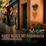 Arash Tashakor – Hanoz Miarze Mehrabon Bashi