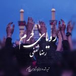 Reza Saghafi – Royaye Haram