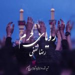 دانلود آهنگ رضا ثقفی به نام رویای حرم