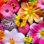دانلود اهنگ بگو هنوزم داری گردنبندو هنوزم – پسر اینستایی