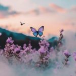 آهنگ میسپرمت به خاطراتم حالا که مال من نمیشی