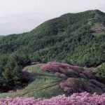 دانلود آهنگ میخندم هر لحظه به دردم گرم میشم با نغمه سردم
