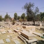 «دارالسلام» با ورود مشاوران ملی به یک پایلوت نمونه در حفاظت از گورستان‌های تاریخی تبدیل می‌شود/ توقف عملیات غیرکارشناسی در «دارالسلام»