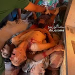 وقتی جنایتکاران به جنایتکاران نامه می‌نویسند تا جلوی جنایت را بگیرند!