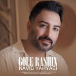 Navid Yahyaei – Gole Rashin