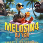 Dj Ycn – Melosin 4