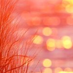 دانلود آهنگ میدونی بحث اصالته وگرنه با همه راحته ساختن خاطره