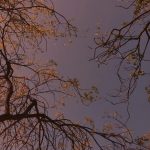 دانلود ریمیکس پوبون و معین با آنکه گفته بودی دیشب خدانگهدار