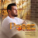 Ali Noroozi – Paeez