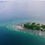 کوپولا جزیره شخصی‌اش را فروخت