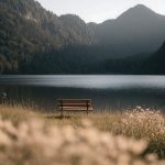 دانلود آهنگ دیگه دادم تورو بری مثل قاصدک