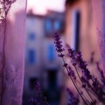 دانلود آهنگ افتخار نکردم به نفهمیدن سرشار از عشق بودم