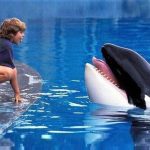 «برادران داسلر» و «نهنگ آزاد» به شبکه نمایش می‌آیند