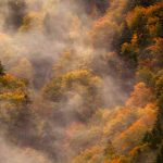 دانلود آهنگ دوباره پیداش میشه در خونه رو باز نکن