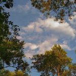 دانلود ریمیکس مگه میشه از عشق اول گذشت – هوش مصنوعی