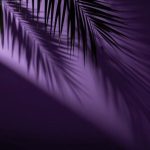 دانلود آهنگ با داداشم رو کارم فیکسه نه میدم بمالید رو لبتون