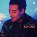 دانلود آهنگ مجید رضوی به نام تولد