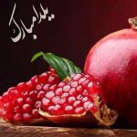 دانلود اهنگ های شب یلدا 1404 (شب چله) شاد یکجا ZIP