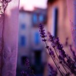 دانلود آهنگ مامان مثل نوری تو شبام