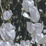 دانلود ریمیکس اومدیو با چشمات دلم رو کردی غارت