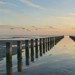 ریمیکس بهونه – هایده × معین × پوران × فرزاد فرزین × رضا صادقی × امید