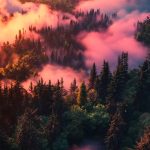 آهنگ بردار تلفنو دعوا رو کش نده این دیوونه