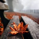 دانلود ریمیکس داروندارمو بگیر مال خودت مال چشات – میکس رپی